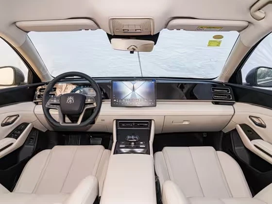 Qin L 2025 DM-i 80KM Leading Model best